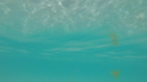 Astratto vista sul fondo del mare da sotto l'acqua sul riflesso della superficie delle onde e dei raggi solari abbagliamento e brillantezza — Video Stock