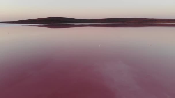 Widok z lotu ptaka Przechylony w dół Pink Salt Lake low key. Filmowe ziarno. Ujęcie wieczorne — Wideo stockowe