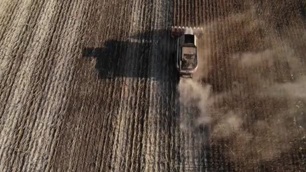 ひまわり畑にいくつかの収穫者の空中ビュー。ひまわり油生産のためのひまわりの種を収穫 — ストック動画