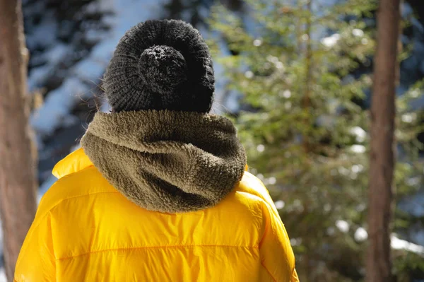 バックポートレート、ニット帽の女の子と黄色のジャケットが森の中に立って雪に覆われた山々を見て — ストック写真