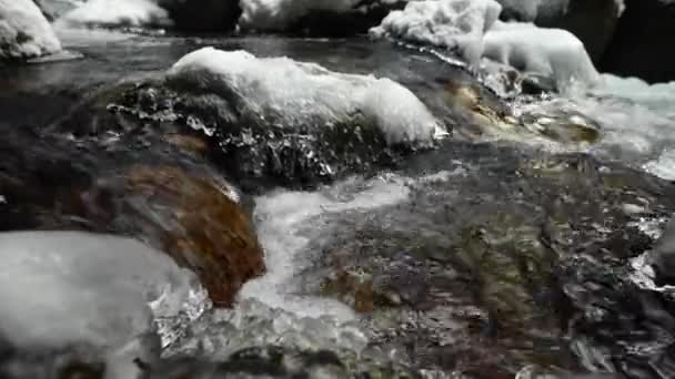 Primer plano de un remanso de un río de montaña que fluye en un bosque de coníferas. Piedras congeladas en nieve y hielo. movimiento lateral deslizante. Ángulo ancho — Vídeos de Stock
