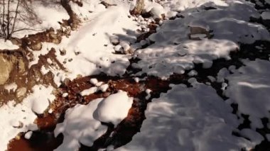 Karla kaplı sahil dağı nehir akıntısı üzerinde ağır çekim. Doğanın kış manzarası, hiç kimse. Buz gibi karlı dağ ormanlarının doğal güzelliği. Çam ağaçları dağları Alpler, İtalya, Avrupa