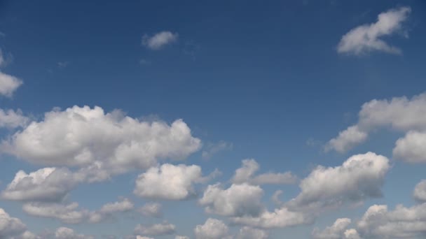 Červená fialová oranžová modrá růžová obloha západ slunce mrak červená fialová cloudscape čas lapse pozadí tmavě červená fialová západ slunce nebe mrak timelapse pozadí den noc dramatický západ slunce nebe červená fialová oblak obloha západ slunce — Stock video