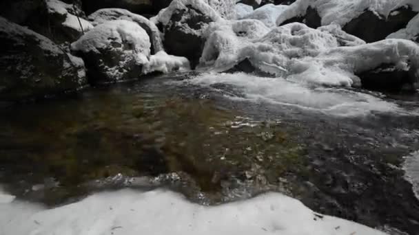 Close-up de um backwater de um rio montês que flui em uma floresta conífera. Pedras congeladas na neve e no gelo. movimento lateral deslizante. Ângulo largo — Vídeo de Stock