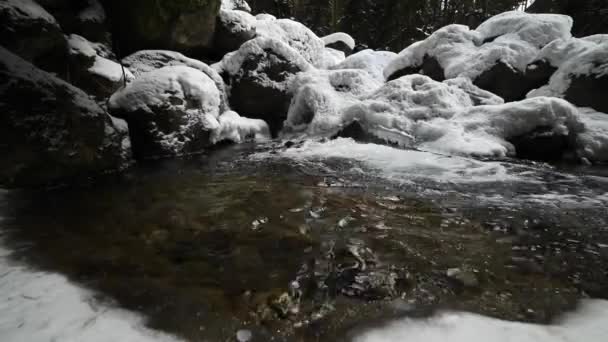 Primer plano de un remanso de un río de montaña que fluye en un bosque de coníferas. Piedras congeladas en nieve y hielo. movimiento lateral deslizante. Ángulo ancho — Vídeos de Stock