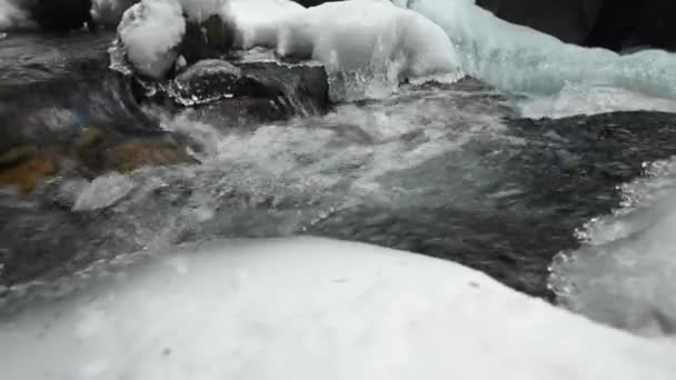 Close-up of a backwater of a mountain river flowing in a coniferous forest. Frozen stones in snow and ice. lateral movement sliding. Wide angle — Stock Video