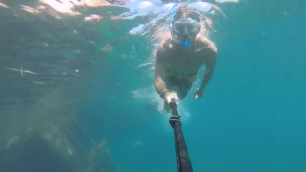 Море. Чоловік у підводній масці і плавці з дихальною трубкою плаває в морі з саморобною палицею. Єгипет. Підводний світ на камеру дії. — стокове відео