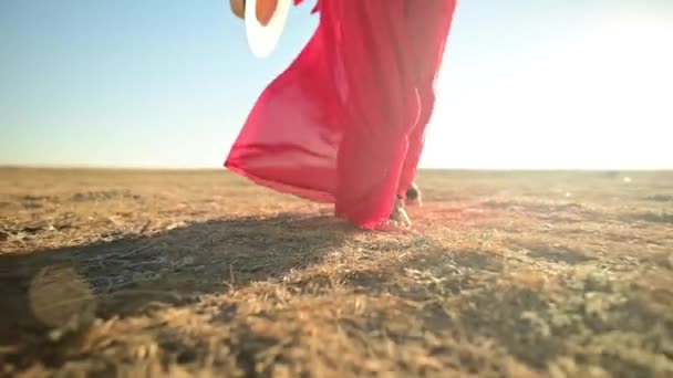 Close-up γυναικεία Slender πόδια σε σανδάλια σε ένα κόκκινο χαλαρό διαφανές φόρεμα που φτερουγίζει στον άνεμο σε κύματα πηγαίνει σε ξηρό γρασίδι στη φύση. Χαμηλή γωνία αργή κίνηση. Πίσω φανάρι με λάμψη — Αρχείο Βίντεο
