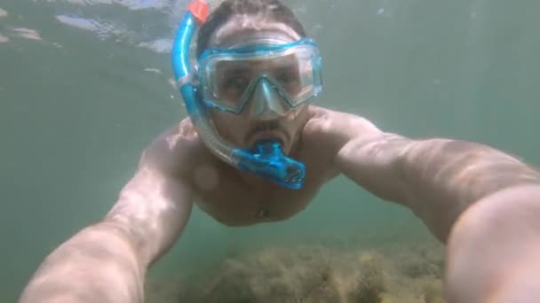 Море зблизька. Чоловік у підводній масці і плавці з дихальною трубкою плаває в морі з саморобною палицею. Єгипет. Підводний світ на камеру дії. — стокове відео