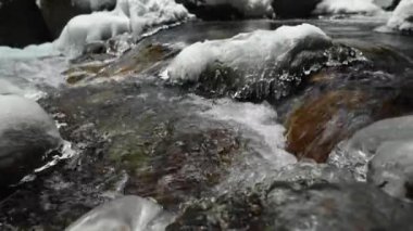 Kozalaklı bir ormanda akan bir dağ nehrinin durgun sularına yakın çekim. Karda ve buzda donmuş taşlar. Yanal hareket kayıyor. Geniş açı