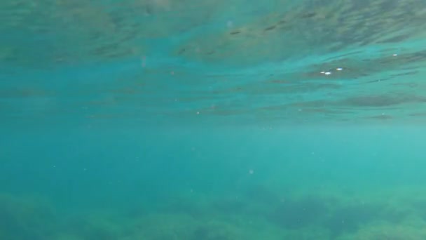 Vue abstraite du fond marin sous l'eau sur le reflet de la surface des vagues et des rayons du soleil éblouissement et étincelle — Video