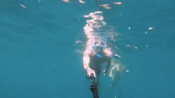 Deniz. Sualtı maskeli ve şnorkeli olan yüzgeçli bir adam selfie çubuğuyla denizde yüzüyor. Mısır. Bir aksiyon kamerasında sualtı dünyası — Stok video
