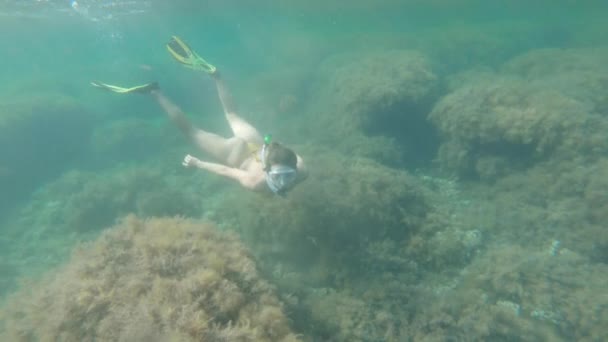 Snorkeling, όμορφη νεαρή λευκή γυναίκα κολυμπά σε διάφανα νερά της θάλασσας. Ελεύθερη κατάδυση ψαροντούφεκο με αναπνευστήρα και πτερύγια — Αρχείο Βίντεο