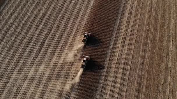 Widok z lotu ptaka kilku kombajnów na pole słoneczników. Zbieranie nasion słonecznika do produkcji oleju słonecznikowego — Wideo stockowe