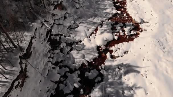 Vista aérea sobre el arroyo del río de montaña de la costa nevada. Paisaje invernal de la naturaleza nadie. La belleza natural del bosque nevado helado de la montaña. Pinos montañas Alpes, Italia, Europa — Vídeos de Stock