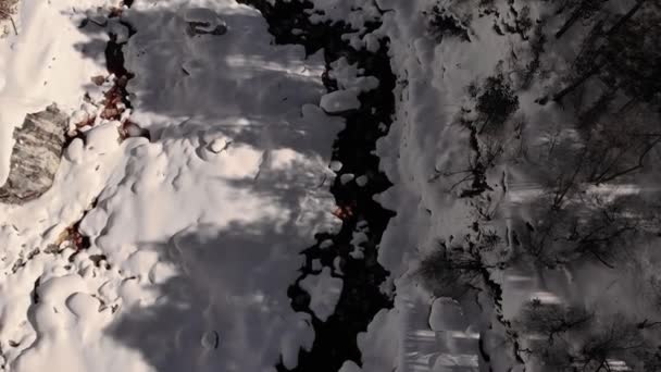 Vue aérienne au-dessus du ruisseau de montagne de la côte enneigée. Paysage hivernal de la nature personne. La beauté naturelle de la forêt de montagne enneigée givrée. Montagnes de pins Alpes, Italie, Europe — Video