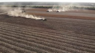 Ayçiçeği tarlasında bulunan birkaç hasatçının destansı hava görüntüsü. Ayçiçeği yağı üretimi için ayçekirdeği topluyorum.
