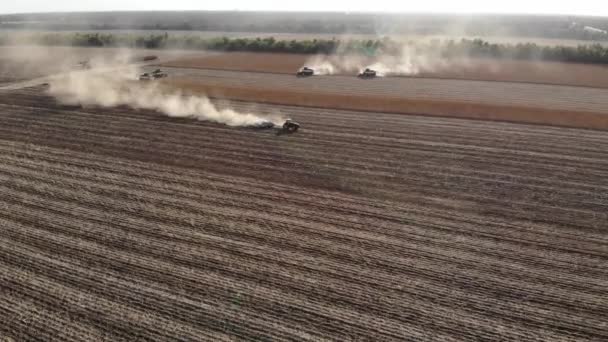 Vue aérienne épique de plusieurs cueilleurs sur un champ de tournesols. Récolte de graines de tournesol pour la production d'huile de tournesol — Video