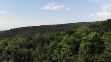 Yeşil ağaçların üzerinden alçak irtifa uçuşunun havadan görüntüsü. Yeşil Orman Panoraması. Karışık bir ormanda ladin ve huş ağaçları