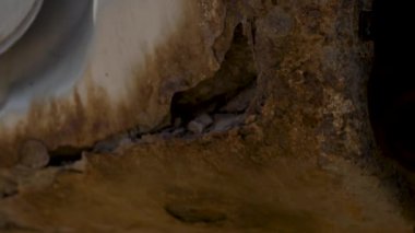 Gri, eski bir arabanın üzerinde derin bir pas var. Eski, yıpranmış metal yüzeydeki pas ve aşınma deliği. Vücut parçaları tamiri. Tamir gerekiyor..