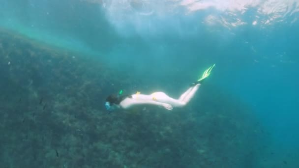 İnce, genç bir kadın, kumlu bir kıçı olan şeffaf bir denizde dalgıç maskesiyle ve şnorkelle yüzer. — Stok video
