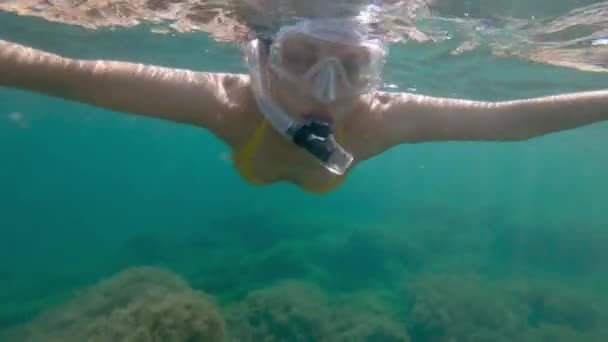 A slender young woman swims in a scuba mask and snorkel underwater in a transparent sea with a sandy bottom — Stock Video