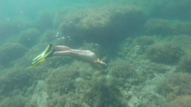 Uma jovem esbelta nada com uma máscara de mergulho e snorkel subaquático em um mar transparente com um fundo arenoso — Vídeo de Stock