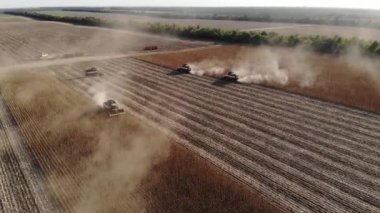 Ayçiçeği tarlasında bulunan birkaç hasatçının destansı hava görüntüsü. Ayçiçeği yağı üretimi için ayçekirdeği topluyorum.