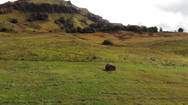 Sonbahar manzarası, sonbahar dağlarının alçak uçuşlarının sarı-yeşil yamaçları. Dağlarda sonbahar arkaplanı