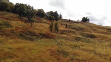 Sonbahar manzarası, sonbahar dağlarının alçak uçuşlarının sarı-yeşil yamaçları. Dağlarda sonbahar arkaplanı