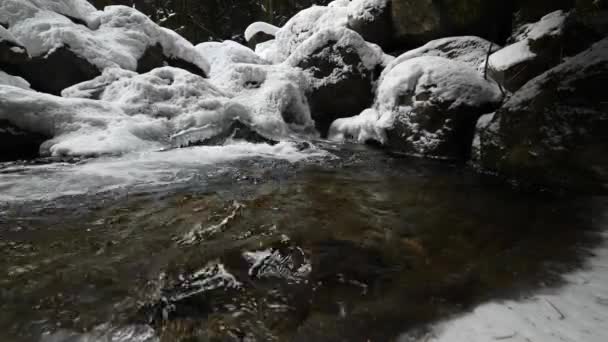Близько до резервуару гірської річки, що тече в хвойному лісі. Заморожені камені в снігу і льоду. бічний рух ковзання. Широкий кут — стокове відео