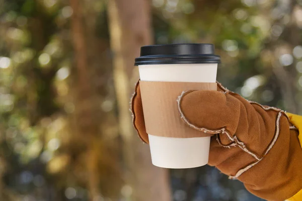 Close-up de uma mão feminina em uma luva segurando uma xícara de papel com café ou chá ao ar livre em uma floresta de coníferas de inverno — Fotografia de Stock