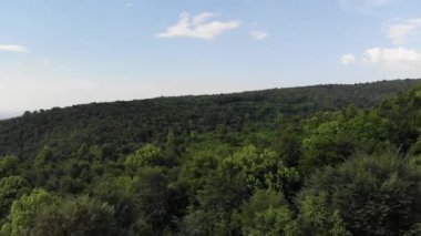 Yeşil ağaçların üzerinden alçak irtifa uçuşunun havadan görüntüsü. Yeşil Orman Panoraması. Karışık bir ormanda ladin ve huş ağaçları