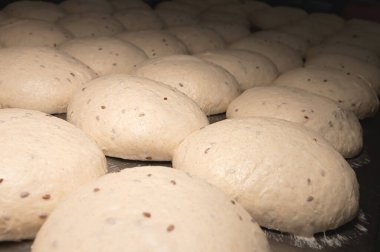 Pişmemiş yuvarlak hamur çörekleri metal bir tepsiye konur. Hamburger ekmeği.