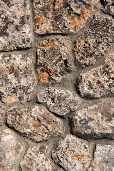 Contexto. Textura de parede de pedra. O material de rocha shell é ligado com argamassa de cimento — Fotografia de Stock