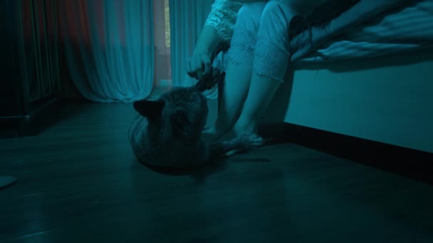 O Bulldog francês fica no chão ao lado da cama ao lado dos pés de seu proprietário e quer jogar. Noite de Hollywood. Luz fria azul — Vídeo de Stock