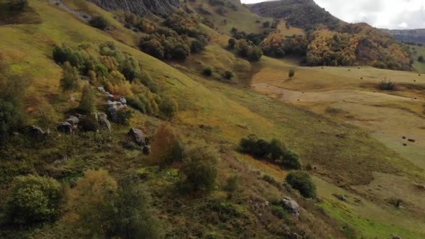 Sonbahar manzarası, sonbahar dağlarının alçak uçuşlarının sarı-yeşil yamaçları. Dağlarda sonbahar arkaplanı — Stok video