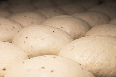 Pişmemiş yuvarlak hamur çörekleri metal bir tepsiye konur. Hamburger ekmeği.