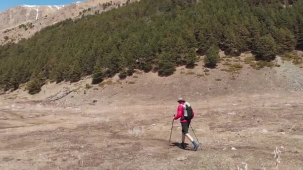 Aerial view of a stylish young man in a sunglasses cap and shorts with a jacket walks trekking with sticks along the gorge — Stock Video