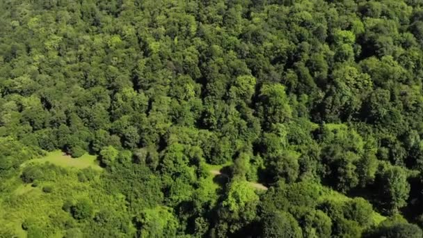 Luftaufnahme eines dichten Sommerwaldes, der von den epischen Klippen einer Bergplateau überragt wird — Stockvideo