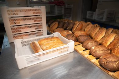 Fırındaki masanın üzerinde taze rulo zanaat ekmeği yatıyor. Ulaşım için beyaz plastik kutulara sıcak ekmek yükleniyor