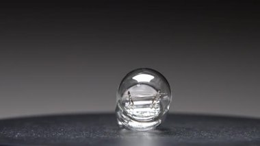 Yeni yedek parça siyah bir gradyan arka planda döner. Bir araba ampulü. w21w