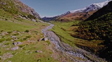 Yazın dağlık bölgelerdeki pitoresk bir dağ nehrinin havadan görünüşü. Güneşli bir yaz gününde FPV dronu kullanılarak vuruldu. Doğa gözlemi için mükemmel.