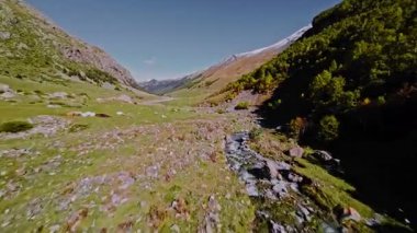 Yazın dağlık bölgelerdeki pitoresk bir dağ nehrinin havadan görünüşü. Güneşli bir yaz gününde FPV dronu kullanılarak vuruldu. Doğa gözlemi için mükemmel.