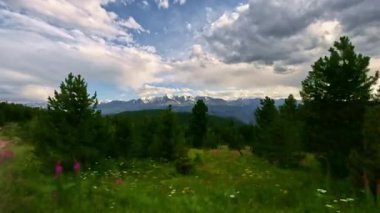 Hızlı off-road sürüşü. Yandaki pencereden bak. Güneşli bir günde seyrek çam ormanı. Aksiyon kamerasıyla çekilmiş..