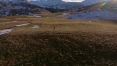 Güneşli bir sabah ya da akşam günbatımında off-road koşan genç bir sporcunun dikey videosu, kuşların bakış açısı. Spor anlayışı ve azim.