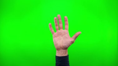 Mans el sıkışma hareketi gösteriyor. Erkek eller yukarı ve baş parmaklar yukarı. yeşil ekran