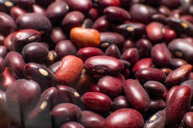 Çeşitli fasülye ve börülcelerin yakın plan çekimleri, çeşitli şekilleri ve renkleri doğal bir düzende vurguluyor.