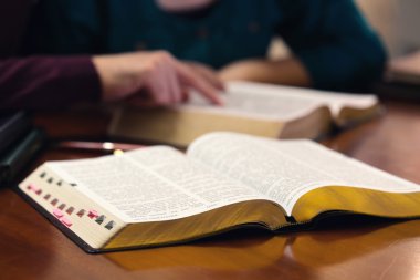 Young Couple Studying The Bible clipart