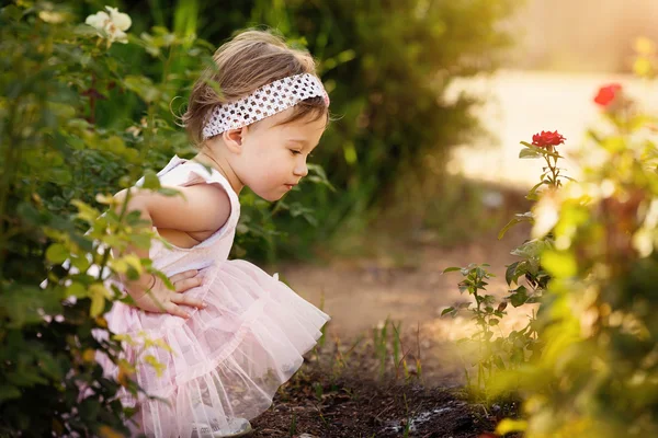 Gyönyörű kisgyermek nézett virágok kert — Stock Fotó